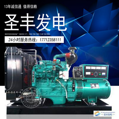东风康明斯20KW柴油发电机组4B3.9-G2