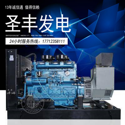 上海东风研究所150KW柴油发电机组SY129TD17