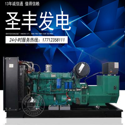 杭发斯太尔200KW柴油发电机组WD615.46D